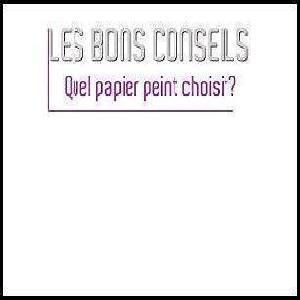 Papier peint  : Guide pratique